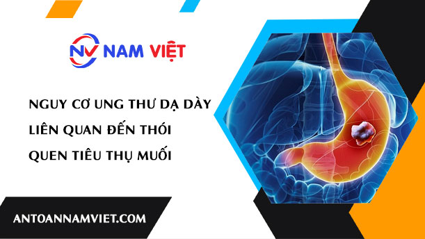 Nguy Cơ Ung Thư Dạ Dày Liên Quan Đến Thói Quen Tiêu Thụ Muối