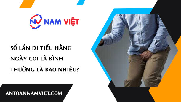 SỐ LẦN ĐI TIỂU HẰNG NGÀY COI LÀ BÌNH THƯỜNG LÀ BAO NHIÊU?