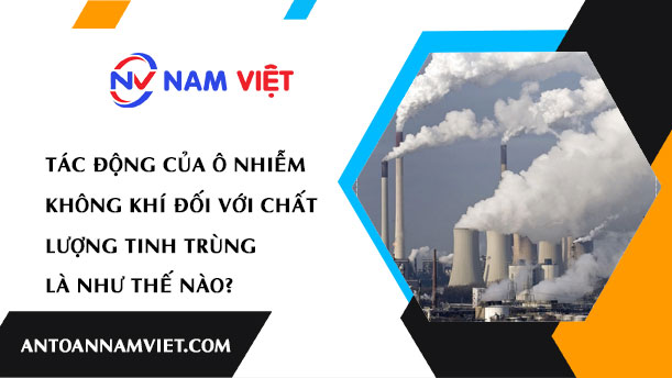 Tác Động của Ô Nhiễm Không Khí Đối với Chất Lượng Tinh Trùng là Như Thế Nào?