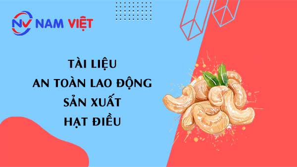 Tài liệu an toàn lao động sản xuất hạt điều (cashew)