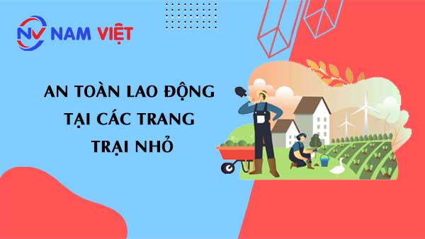 An Toàn Lao Động Tại Các Trang Trại Nhỏ