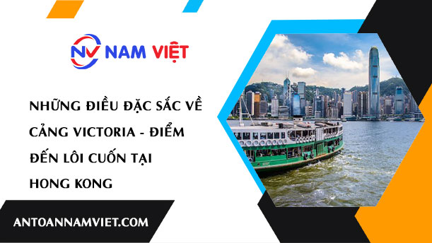 Những Điều Đặc Sắc về Cảng Victoria - Điểm Đến Lôi Cuốn tại Hong Kong