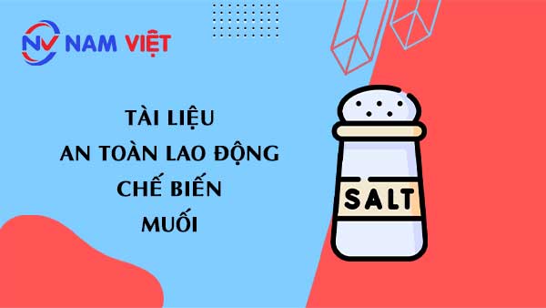 Tài liệu an toàn lao động sản xuất muối (salt)
