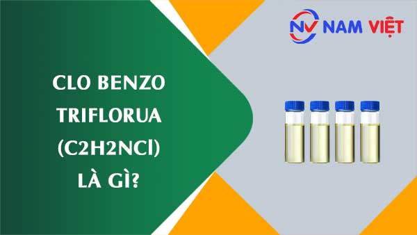 Clo benzo triflorua ảnh hưởng như thế nào đến sức khỏe người lao động?
