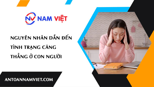 NGUYÊN NHÂN DẪN ĐẾN TÌNH TRẠNG CĂNG THẲNG Ở CON NGƯỜI