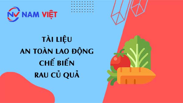 Tài liệu an toàn lao động chế biến rau củ quả (vegetable)