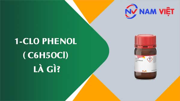 1-Clo phenol ảnh hưởng như thế nào đến sức khỏe người lao động?