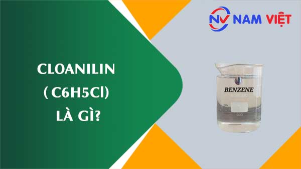 Cloanilin ảnh hưởng như thế nào đến sức khỏe người lao động?