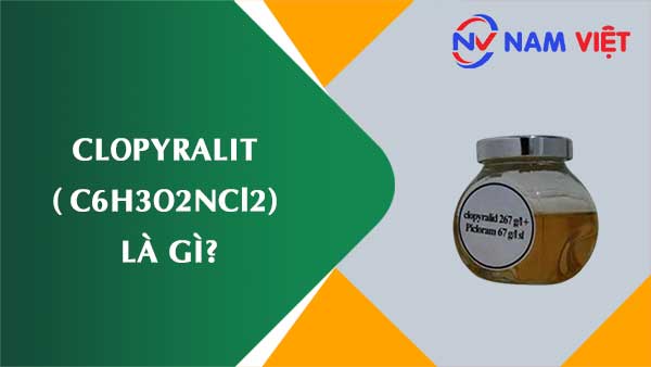 Clopyralit ảnh hưởng như thế nào đến sức khỏe người lao động?