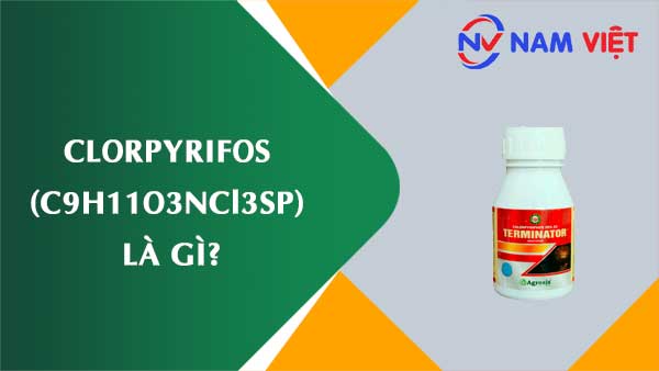 Clorpyrifos ảnh hưởng như thế nào đến sức khỏe người lao động?