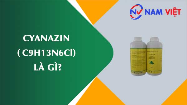 Cyanazin ảnh hưởng như thế nào đến sức khỏe người lao động?