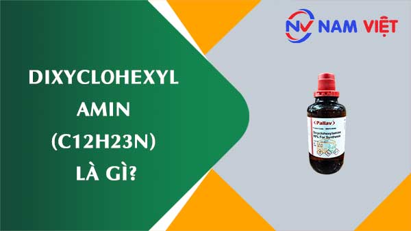 Dixyclohexyl amin ảnh hưởng như thế nào đến sức khỏe người lao động?
