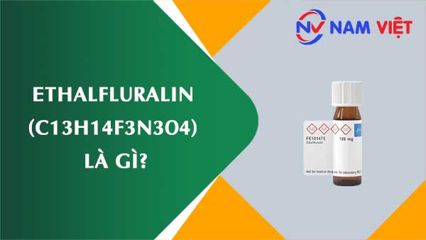 Ethalfluralin ảnh hưởng như thế nào đến sức khỏe người lao động?