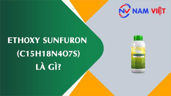 Ethoxy sunfuron ảnh hưởng như thế nào đến sức khỏe người lao động?