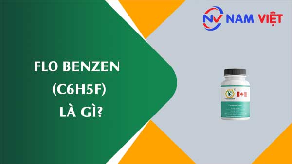 Flo benzen ảnh hưởng như thế nào đến sức khỏe người lao động?