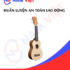 Occupational Safety Training for Ukulele Manufacturing