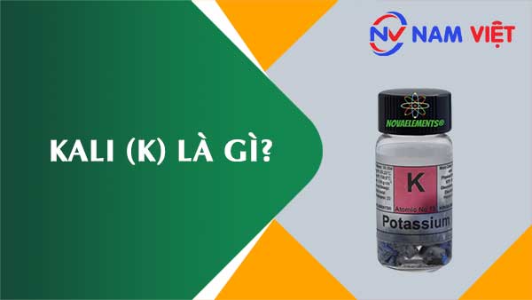 Kali ảnh hưởng như thế nào đến sức khỏe người lao động?