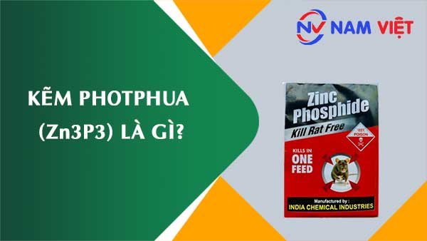 Kẽm photphua ảnh hưởng như thế nào đến sức khỏe người lao động?