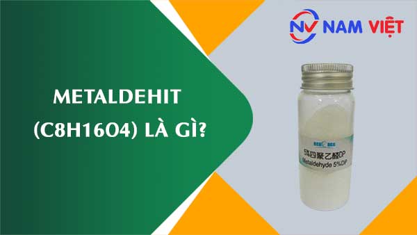 Metaldehit ảnh hưởng như thế nào đến sức khỏe người lao động?