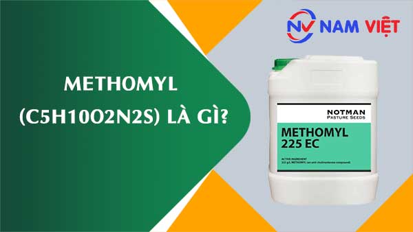 Methomyl ảnh hưởng như thế nào đến sức khỏe người lao động?