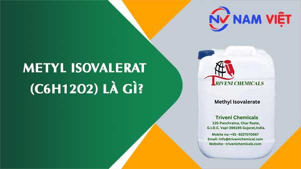 Metyl isovalerat ảnh hưởng như thế nào đến sức khỏe người lao động?