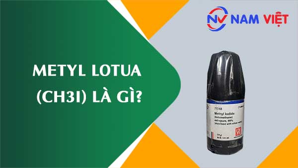 Metyl lotua ảnh hưởng như thế nào đến sức khỏe người lao động?