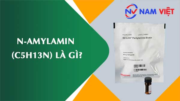 N-amylamin ảnh hưởng như thế nào đến sức khỏe người lao động?