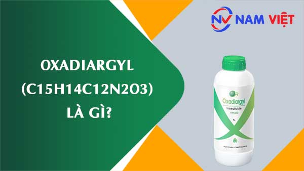 Oxadiargyl ảnh hưởng như thế nào đến sức khỏe người lao động?
