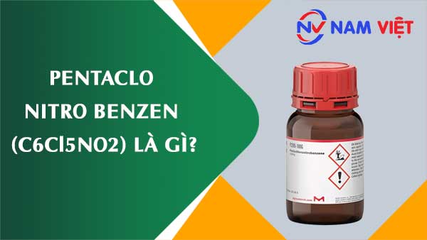Pentaclo nitro benzen ảnh hưởng như thế nào đến sức khỏe người lao động?