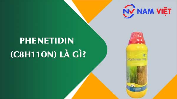 Phenetidin ảnh hưởng như thế nào đến sức khỏe người lao động?