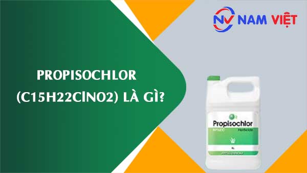 Propisochlor ảnh hưởng như thế nào đến sức khỏe người lao động?