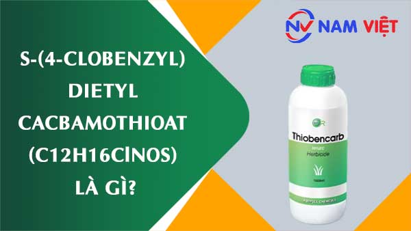 S-(4-Clobenzyl) dietyl cacbamothioat ảnh hưởng như thế nào đến sức khỏe người lao động?