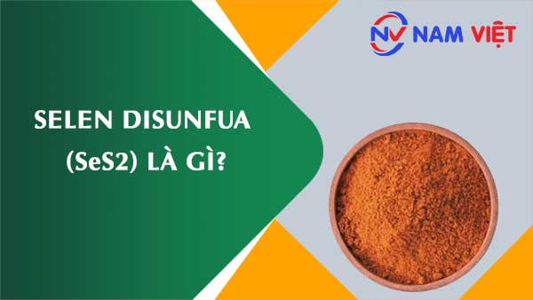 Selen disunfua ảnh hưởng như thế nào đến sức khỏe người lao động?