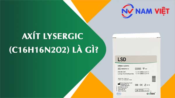 Axít lysergic ảnh hưởng như thế nào đến sức khỏe người lao động?