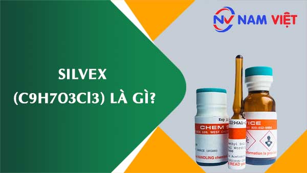 Silvex ảnh hưởng như thế nào đến sức khỏe người lao động?