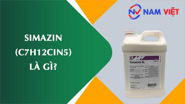 Simazin ảnh hưởng như thế nào đến sức khỏe người lao động?