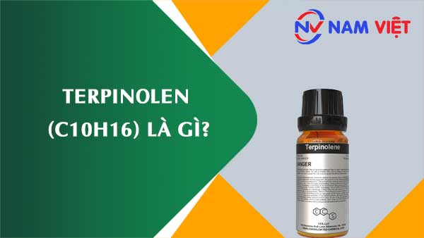 Terpinolen ảnh hưởng như thế nào đến sức khỏe người lao động?