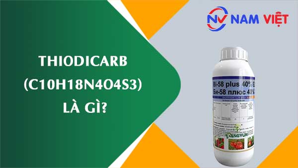 Thiodicarb ảnh hưởng như thế nào đến sức khỏe người lao động?
