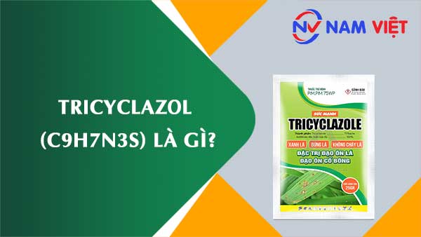 Tricyclazol ảnh hưởng như thế nào đến sức khỏe người lao động?