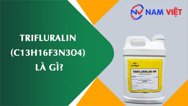 Trifluralin ảnh hưởng như thế nào đến sức khỏe người lao động?