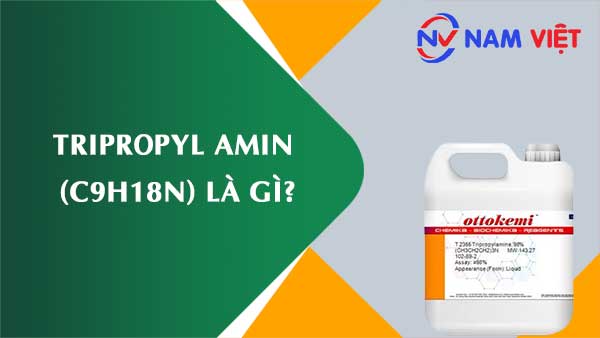 Tripropyl amin ảnh hưởng như thế nào đến sức khỏe người lao động?