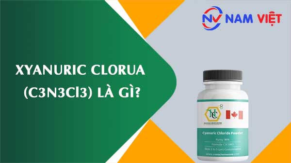 Xyanuric clorua ảnh hưởng như thế nào đến sức khỏe người lao động?