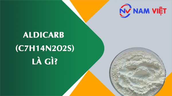 Aldicarb ảnh hưởng như thế nào đến sức khỏe người lao động?