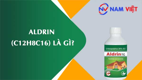 Aldrin ảnh hưởng như thế nào đến sức khỏe người lao động?