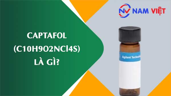 Captafol ảnh hưởng như thế nào đến sức khỏe người lao động?