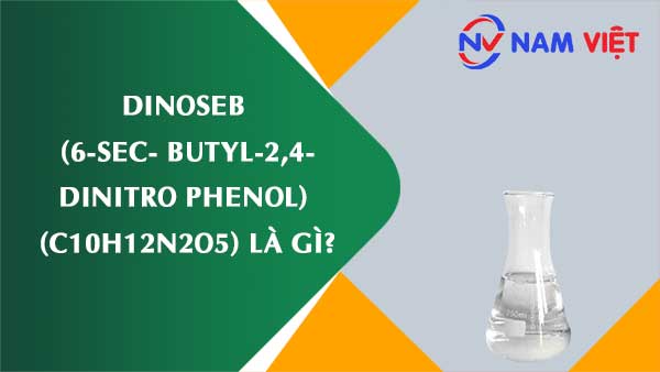 Dinoseb (6-sec- butyl-2,4-dinitro phenol) ảnh hưởng như thế nào đến sức khỏe người lao động?