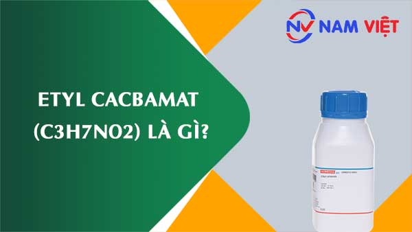 Etyl cacbamat ảnh hưởng như thế nào đến sức khỏe người lao động?