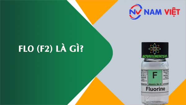 Flo ảnh hưởng như thế nào đến sức khỏe người lao động?