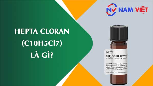 Hepta cloran ảnh hưởng như thế nào đến sức khỏe người lao động?