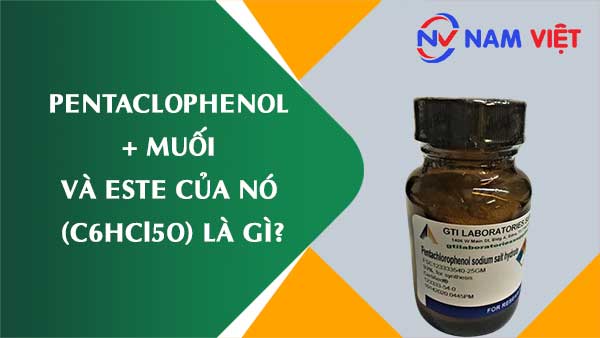 Pentaclophenol và muối và este của nó ảnh hưởng như thế nào đến sức khỏe người lao động?